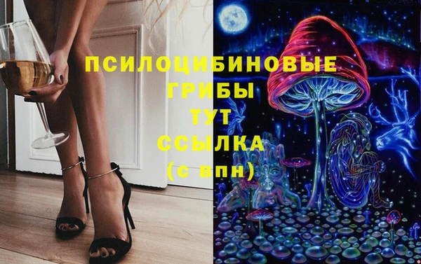 гашик Алзамай